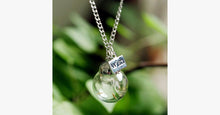 Load image into Gallery viewer, Natural Dandelion Seeds Wish Pendant - FREE SHIP DEALS