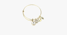 Load image into Gallery viewer, April Birthstone Charm Bangle - FREE SHIP DEALS