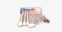 Load image into Gallery viewer, 12 Piece Pink Ombre Brush Set - FREE SHIP DEALS