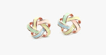 Load image into Gallery viewer, Novel Color Strip Earring - FREE SHIP DEALS