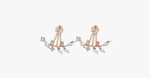 Load image into Gallery viewer, Chic Rhine-stoned Leaf Branch Earrings For Women - FREE SHIP DEALS