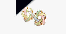 Load image into Gallery viewer, Novel Color Strip Earring - FREE SHIP DEALS