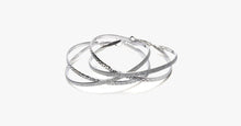 Load image into Gallery viewer, Double Band Stardust Hoop Earrings - FREE SHIP DEALS