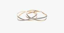 Load image into Gallery viewer, Double Band Stardust Hoop Earrings - FREE SHIP DEALS
