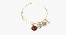 Load image into Gallery viewer, January Birthstone Charm Bangle - FREE SHIP DEALS