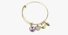 Load image into Gallery viewer, June Birthstone Charm Bangle - FREE SHIP DEALS