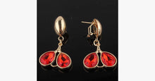 Load image into Gallery viewer, Soft Petals Garnet Set