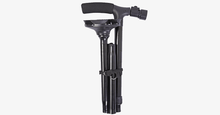 Load image into Gallery viewer, Trusty Cane - FREE SHIP DEALS