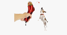 Load image into Gallery viewer, Pet Snack Launcher