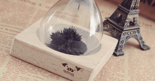 Load image into Gallery viewer, Magnetic Hour Glass - FREE SHIP DEALS
