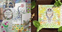 Load image into Gallery viewer, Adult Coloring Books - FREE SHIP DEALS