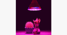 Load image into Gallery viewer, Indoor Plant Grow Light