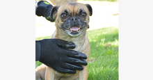 Load image into Gallery viewer, Pair of Pet Grooming Gloves - FREE SHIP DEALS