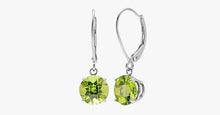Load image into Gallery viewer, Gemstone Leverback Earring
