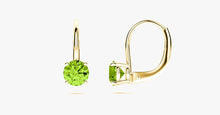 Load image into Gallery viewer, Gemstone Leverback Earring