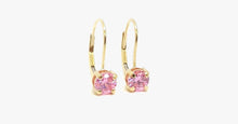 Load image into Gallery viewer, Gemstone Leverback Earring