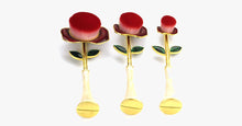 Load image into Gallery viewer, Rose Beauty Flawless Face Oval Brush Set