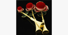 Load image into Gallery viewer, Rose Beauty Flawless Face Oval Brush Set