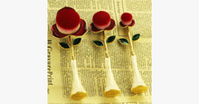 Load image into Gallery viewer, Rose Beauty Flawless Face Oval Brush Set