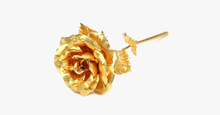 Load image into Gallery viewer, 24K Forever Gold Rose - FREE SHIP DEALS