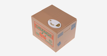Load image into Gallery viewer, Coin Stealing Cat Piggy Bank