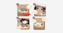 Load image into Gallery viewer, Coin Stealing Cat Piggy Bank