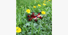Load image into Gallery viewer, 6-Axis Led Nano Hexacopter Rc Drone With Headless Mode - FREE SHIP DEALS