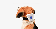 Load image into Gallery viewer, Bark Off: Dog Collar - FREE SHIP DEALS