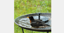 Load image into Gallery viewer, Solar Powered Fountain Pump