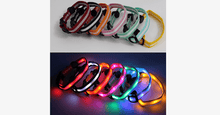 Load image into Gallery viewer, LED Dog Collar - Assorted Colors and Sizes - FREE SHIP DEALS