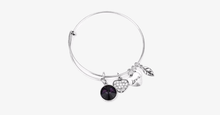 Load image into Gallery viewer, February Birthstone Charm Bangle - FREE SHIP DEALS