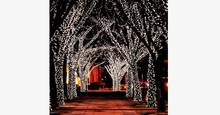 Load image into Gallery viewer, LED Fairy Lights - FREE SHIP DEALS