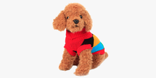Load image into Gallery viewer, Warm Dog Sweaters